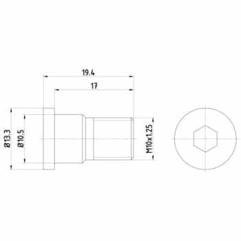 Bolt, brake disc