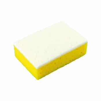 Protecton insect sponge