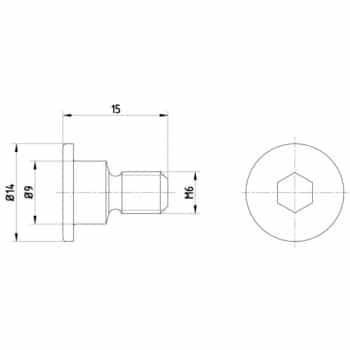 Bolt, brake disc