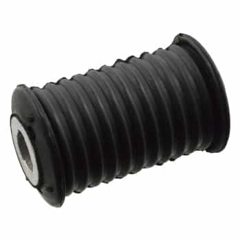 Bush, leaf spring