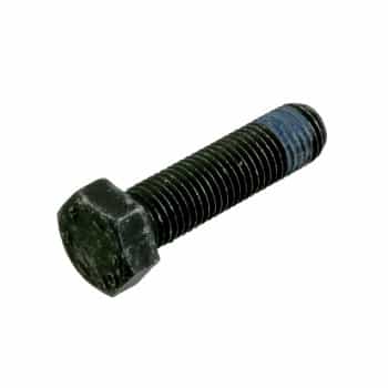 Bolt, brake caliper