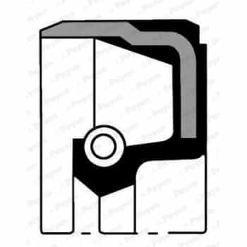 Shaft Seal, camshaft NB807 Payen