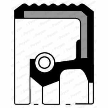 Shaft Seal, camshaft NF817 Payen
