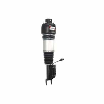 Pneumatic strut
