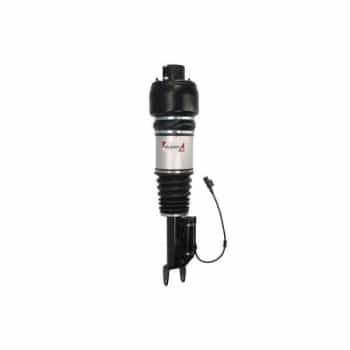 Pneumatic strut