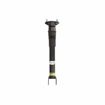 Pneumatic strut