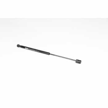 Gas spring, trunk