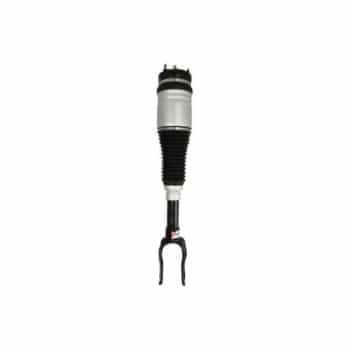 Pneumatic strut