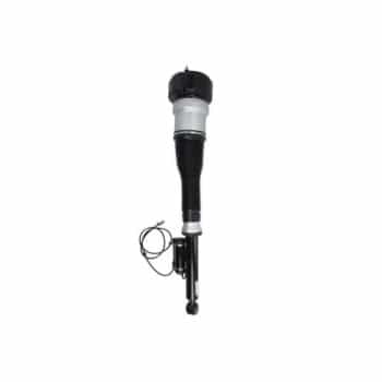 Pneumatic strut