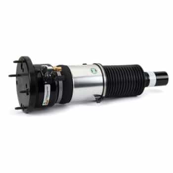 Pneumatic strut