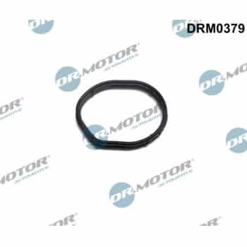 Gasket, timing case cover