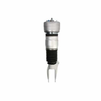 Pneumatic strut
