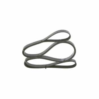 V-Ribbed Belt
