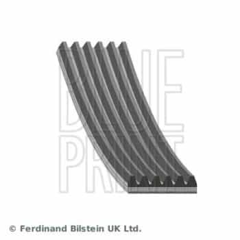 Poly V-belt AD06S1220 Blue Print