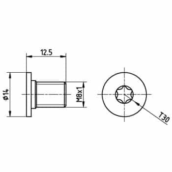 Bolt, brake disc
