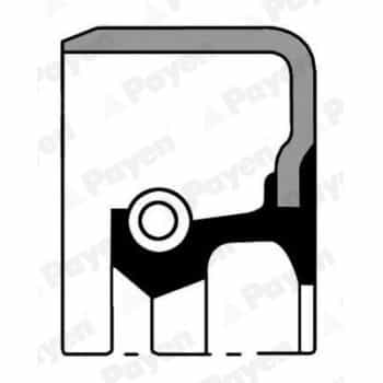 Shaft Seal, differential NK214 Payen