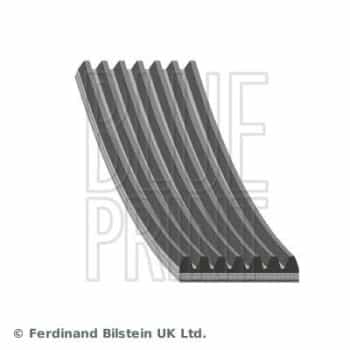Poly V-belt AD07R2443 Blue Print