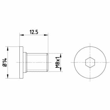 Bolt, brake disc