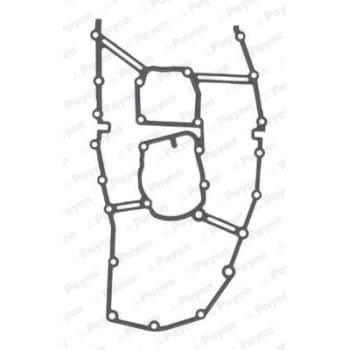 Gasket, timing case JR5046 Payen