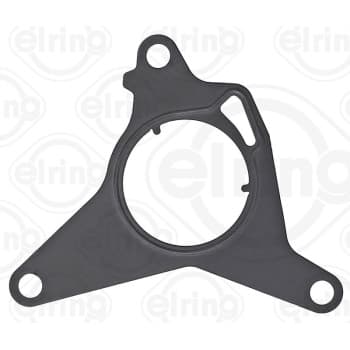 Gasket, vacuum pump