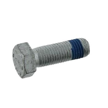 Bolt, brake caliper
