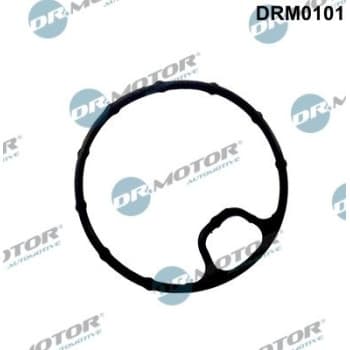 Gasket, oil filter housing