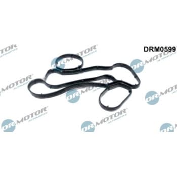 Gasket, oil filter housing