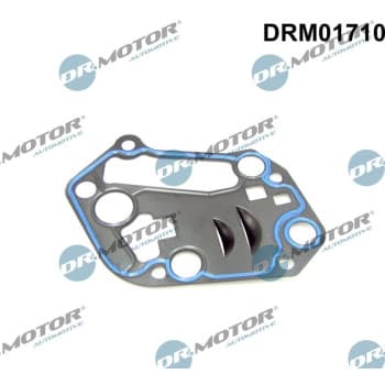 Gasket, oil filter housing