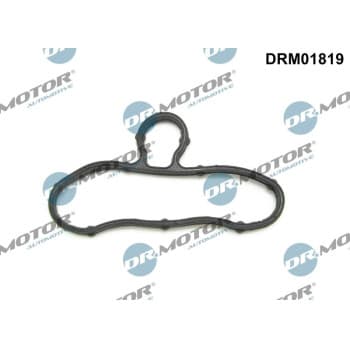 Gasket, timing case cover