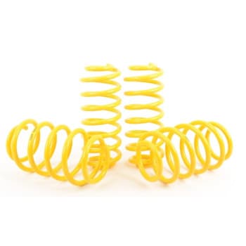ST Suspensions lowering springs